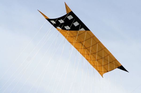 Cliquez pour voir l'image en taille relle