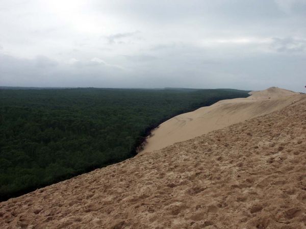Cliquez pour voir l'image en taille relle